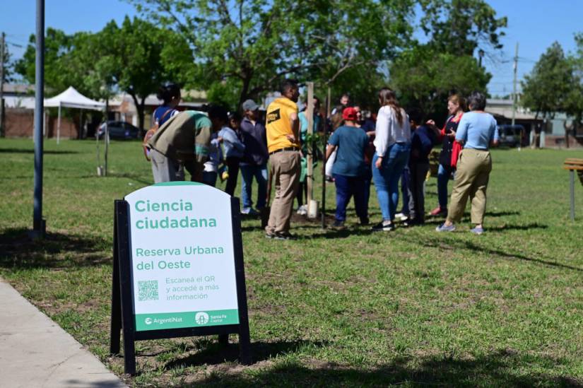 Ciudad verde: la Municipalidad planta 600 árboles en el norte de la capital