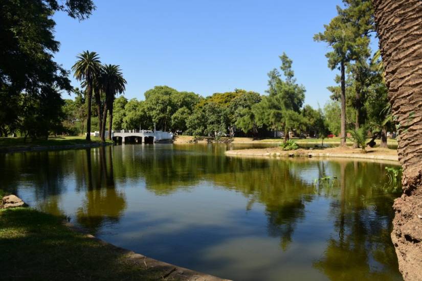 Liberaron “chanchitas de agua” para controlar mosquitos en el lago del Parque Garay